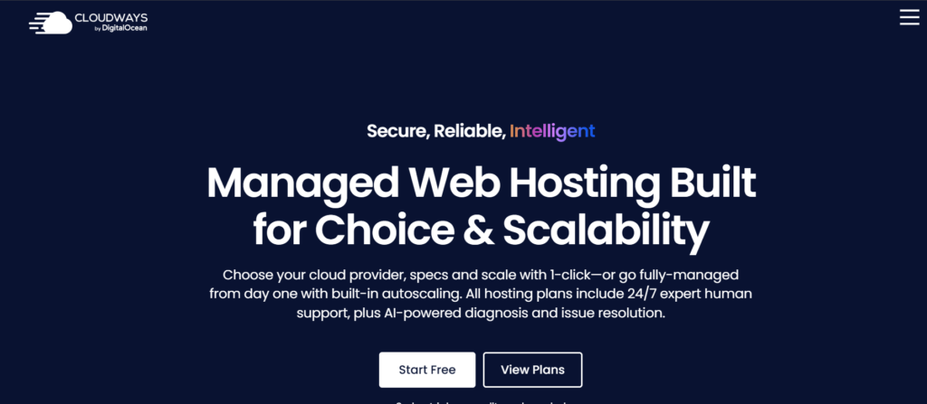 Hosting Provider – Cloudways

