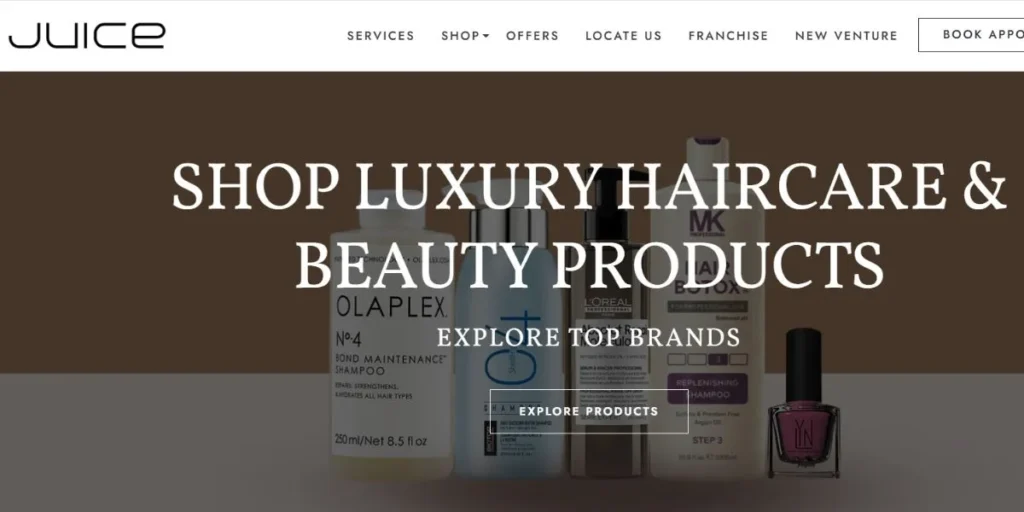 Salon Franchise