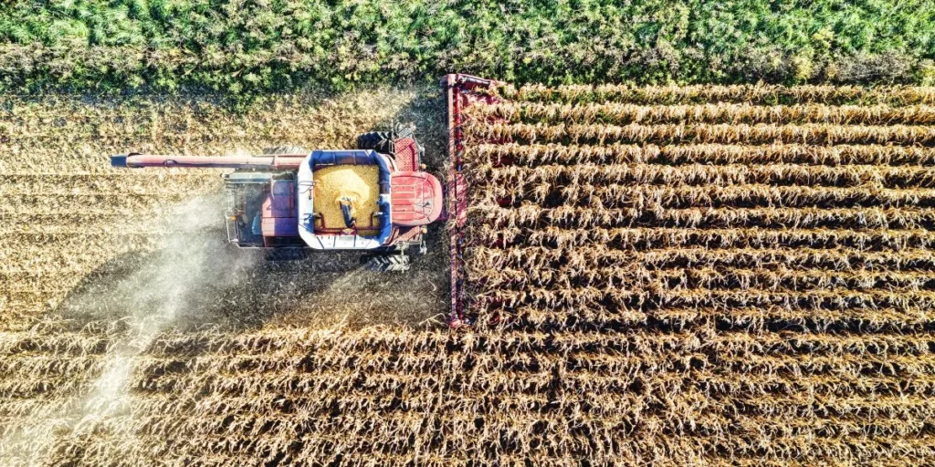 Money-Making Agriculture Business Ideas