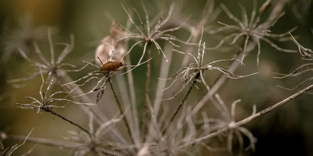 Money-Making Agriculture Business Ideas