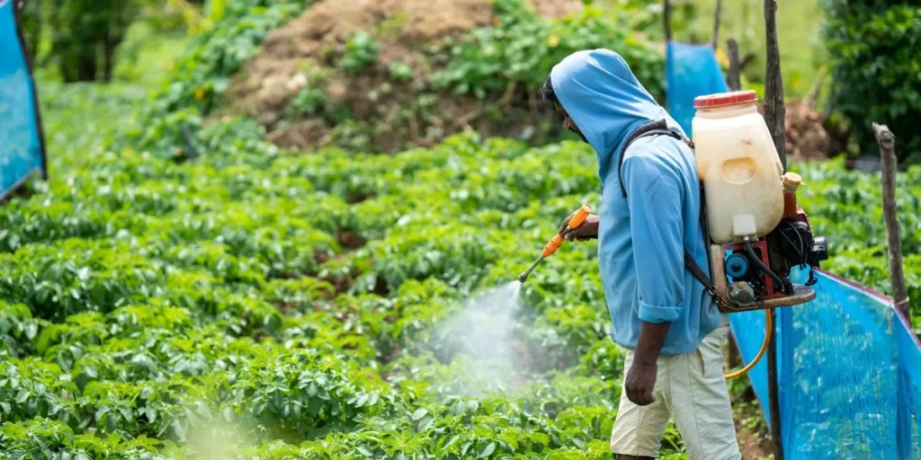 Money-Making Agriculture Business Ideas