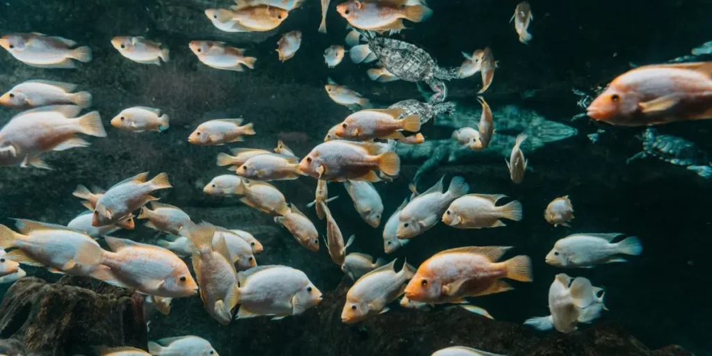 Money-Making Agriculture Business Ideas