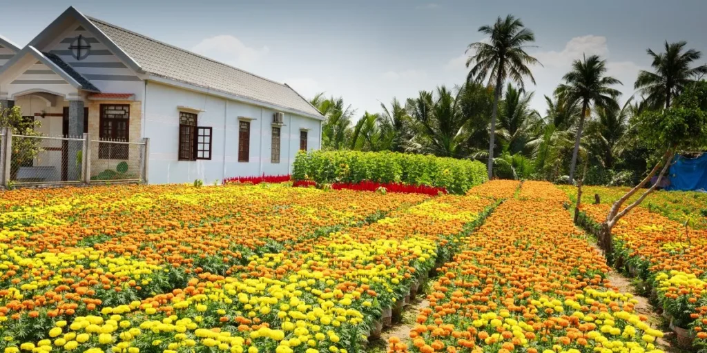 Money-Making Agriculture Business Ideas