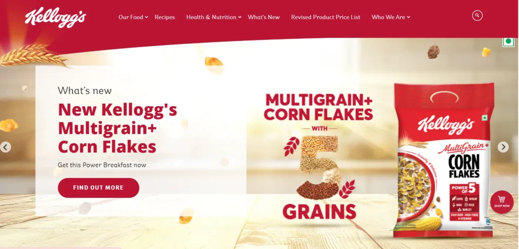 Kellogg India Pvt. Ltd.-Food Manufacturing Companies in Chennai 