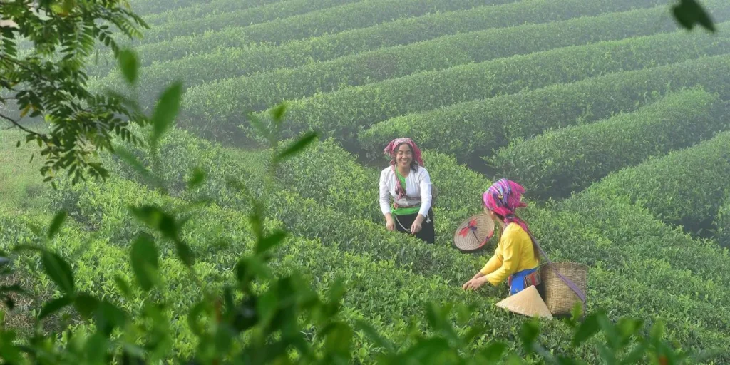 Money-Making Agriculture Business Ideas