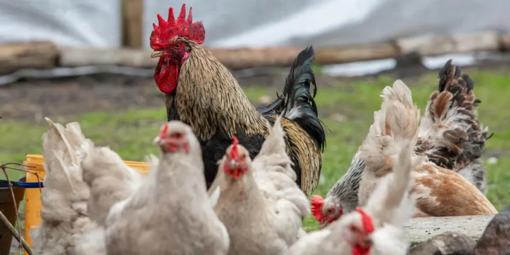 Money-Making Agriculture Business Ideas