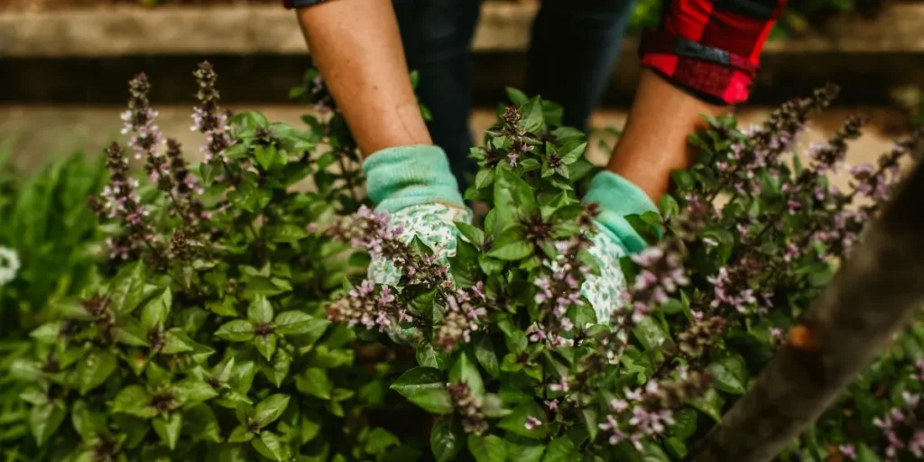 Money-Making Agriculture Business Ideas