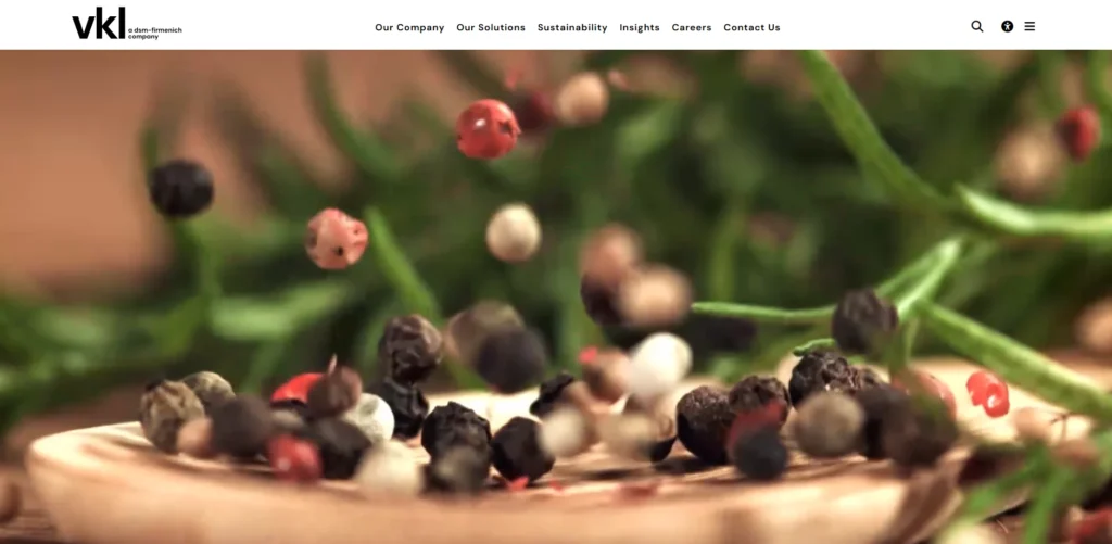 VKL Seasoning Pvt. Ltd.-Food Manufacturing Companies in Bangalore