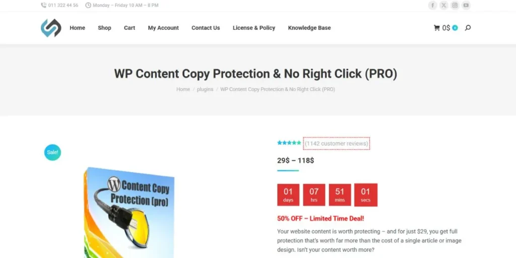 Best WordPress Content Protection Plugins