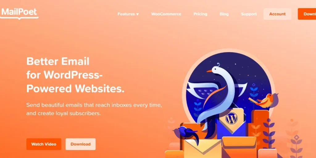 WordPress Email Marketing Plugins