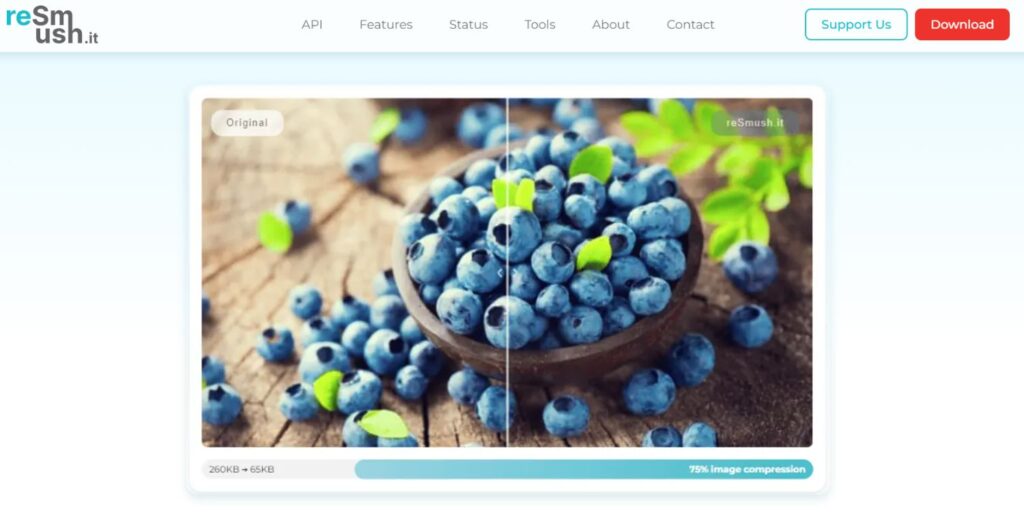 WordPress Image Optimization