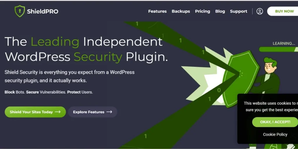 WordPress Security Plugins for eCommerce