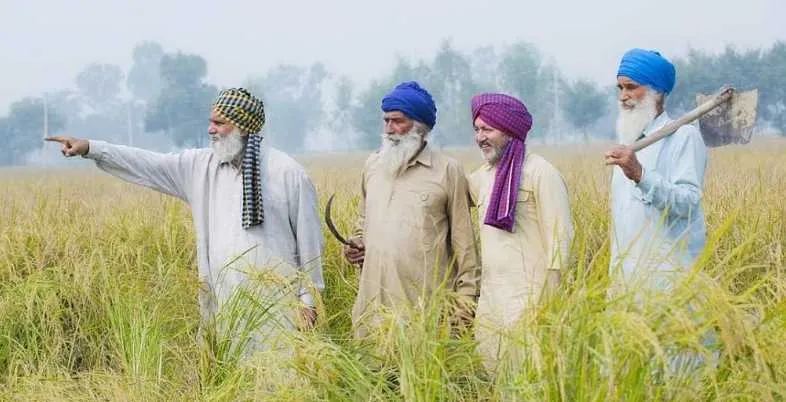 Business Ideas in Punjab