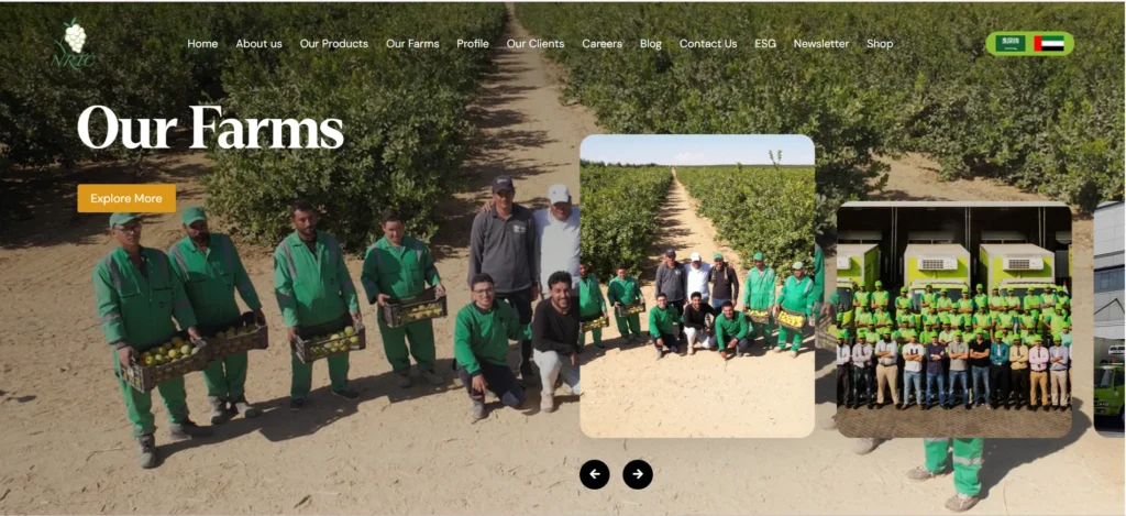 food trading companies in dubai NRTC