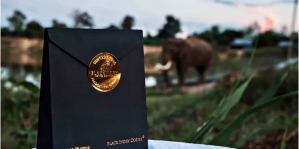 Most Expensive Coffee in the World